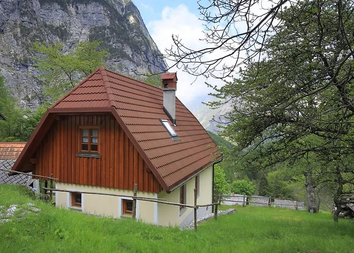 Zadnjica Holiday House