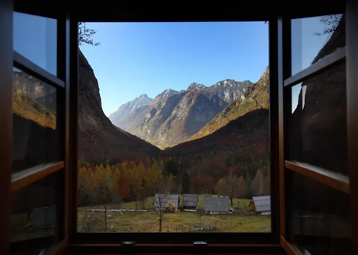 Zadnjica Holiday House